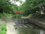 伊賀八幡さんそば