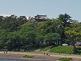 藤の季節、岡崎公園