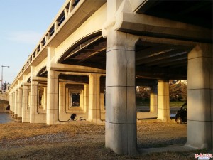 ビュースポットは橋の下