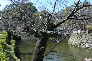 岡崎公園