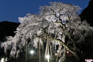 奥山田ライトアップ