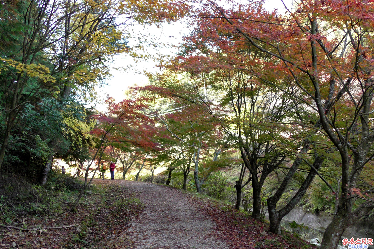 柿ヶ入沢散歩道