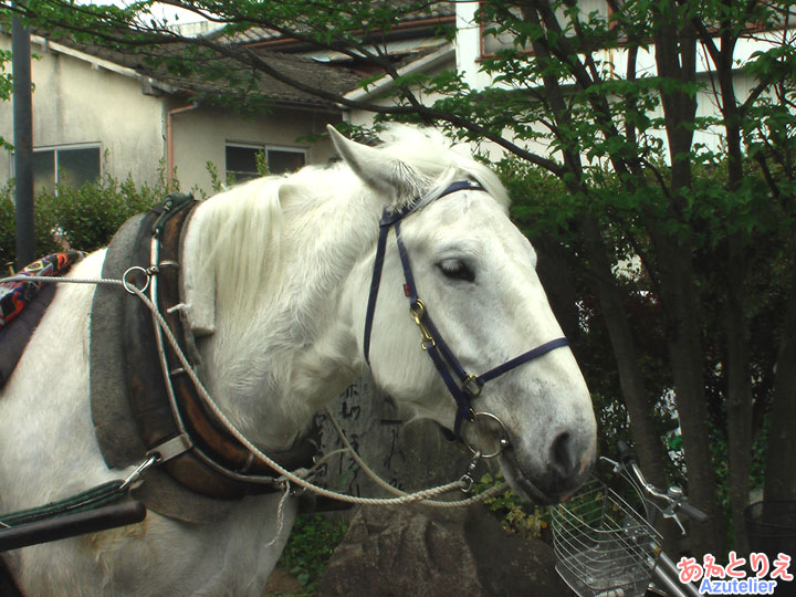 辻馬車