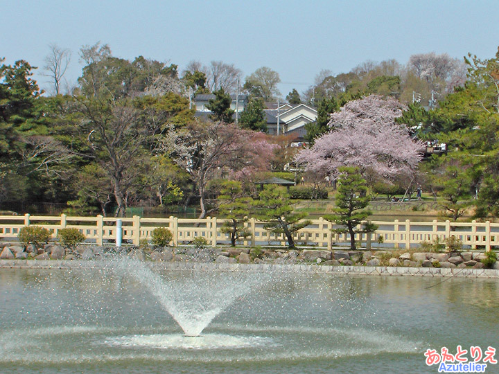 桜と池