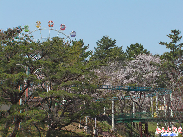 桜と遊園地