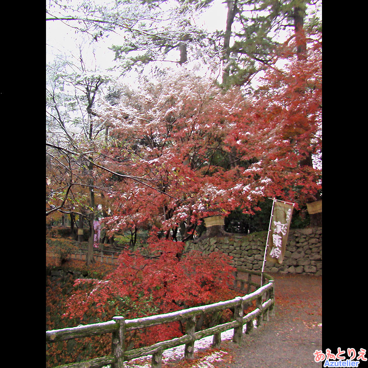 紅葉と雪