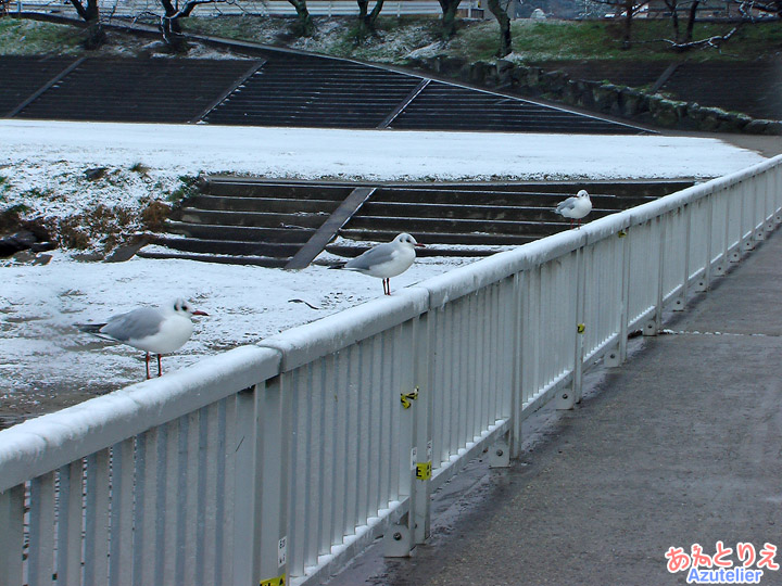 雪の乙川