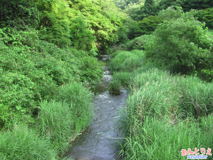 郡界川