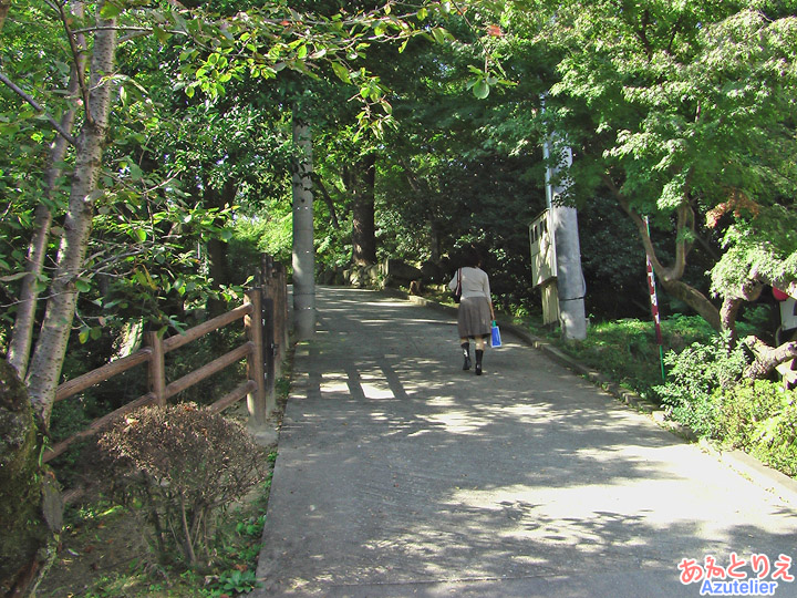 城南亭そば～岡崎公園内～竹千代橋