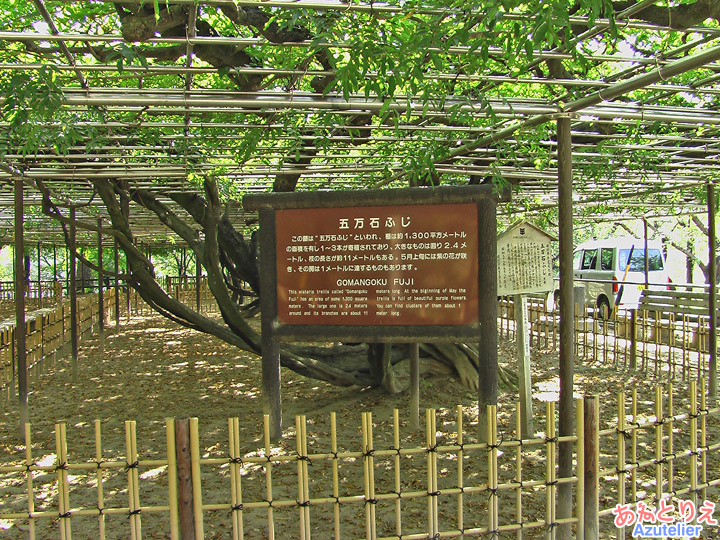 城南亭そば～岡崎公園内～竹千代橋