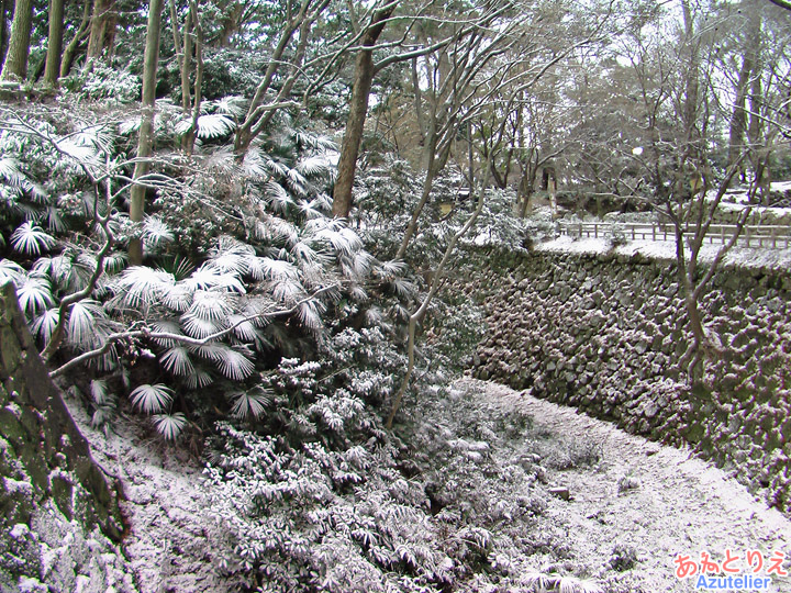 雪のお城裏手