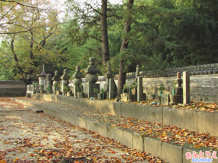 松平八代墓、全景