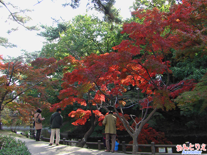 紅葉