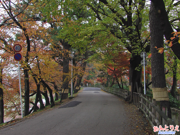 秋の乙川