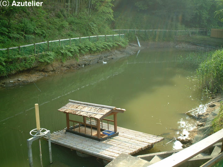 水鳥の池