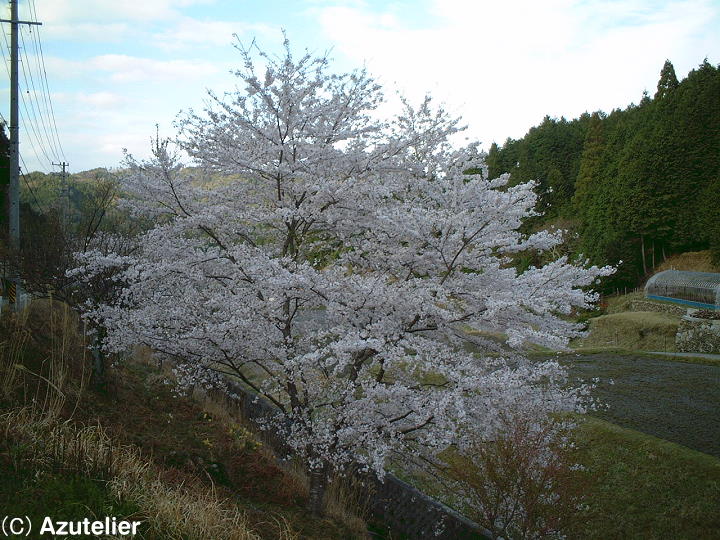 千万町つづき