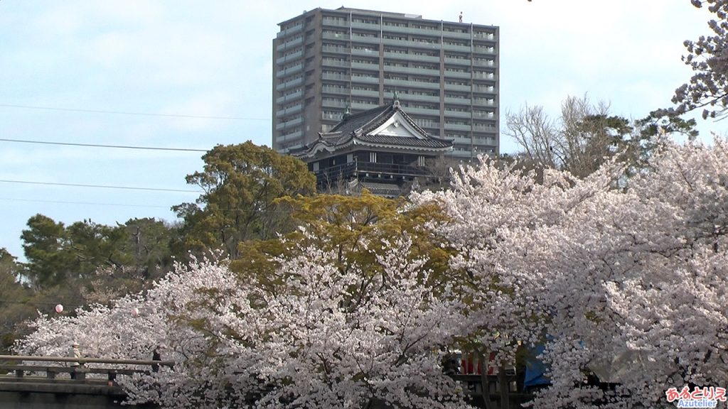 桜と岡崎城