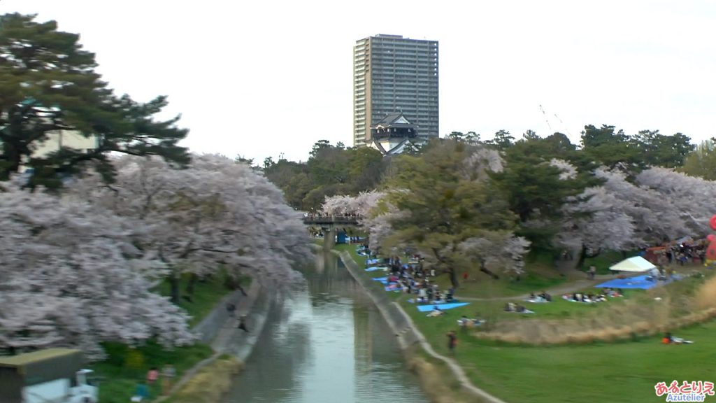 電車の窓から写した岡崎公園の桜