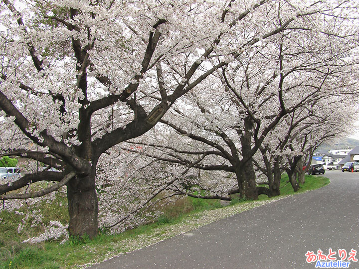 稲熊神明橋