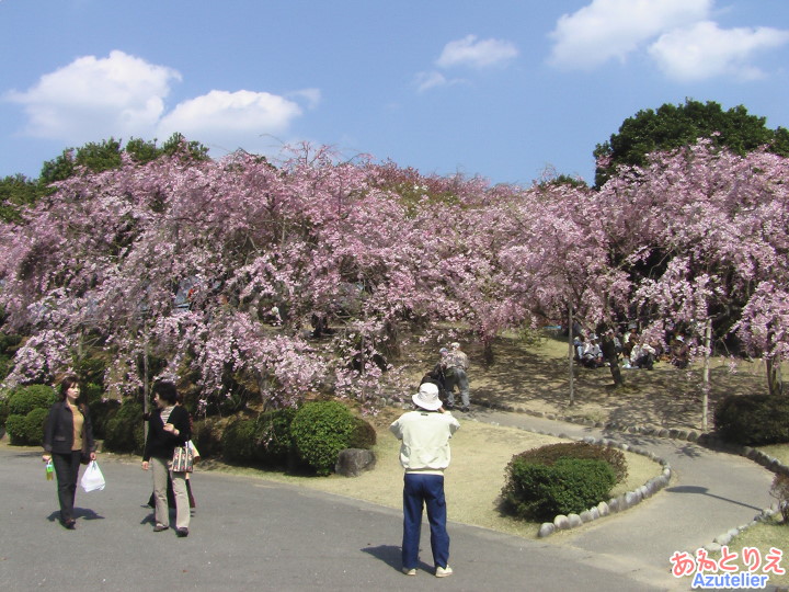 全景