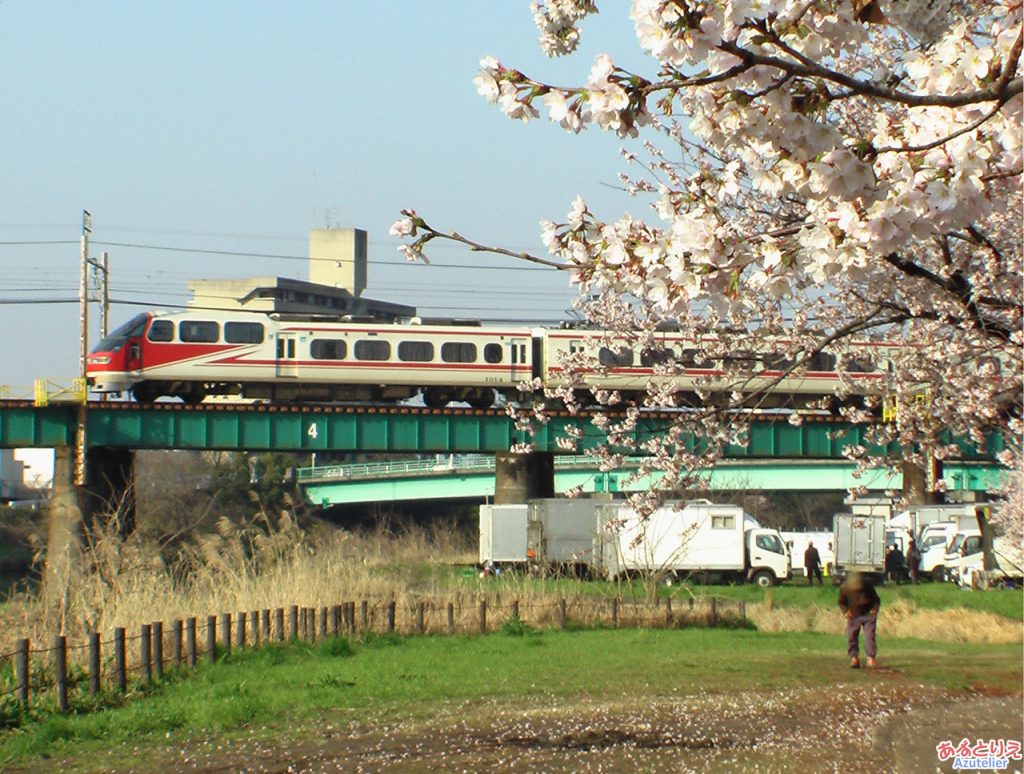 名鉄電車と桜