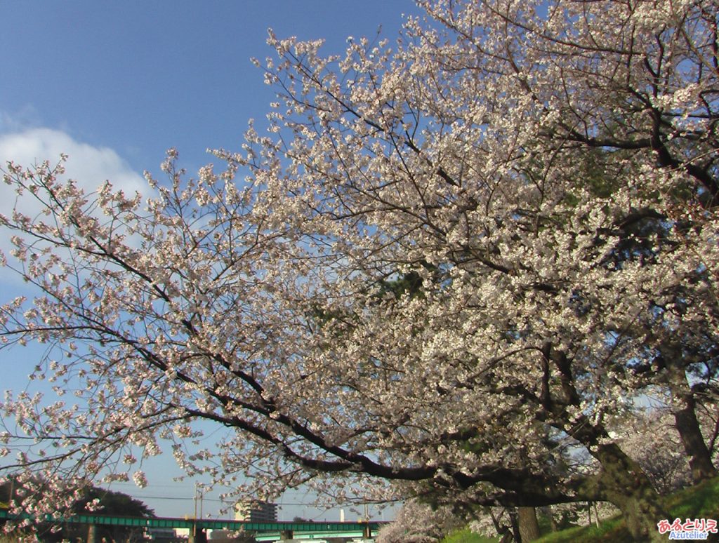 乙川と伊賀川の合流点