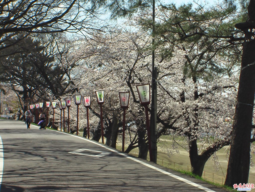 乙川左岸