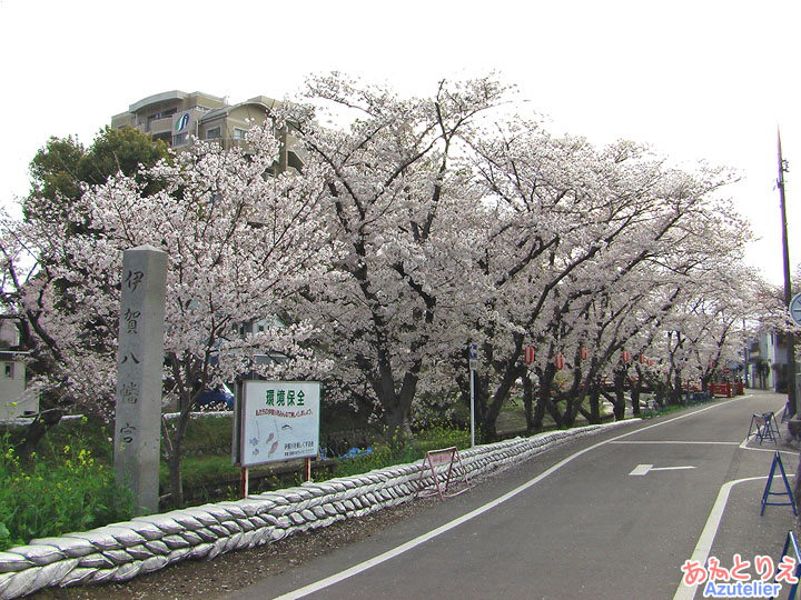 実際に桜子の走った道(『純情きらり』ロケ地)