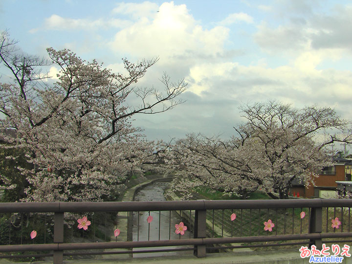 雲と桜