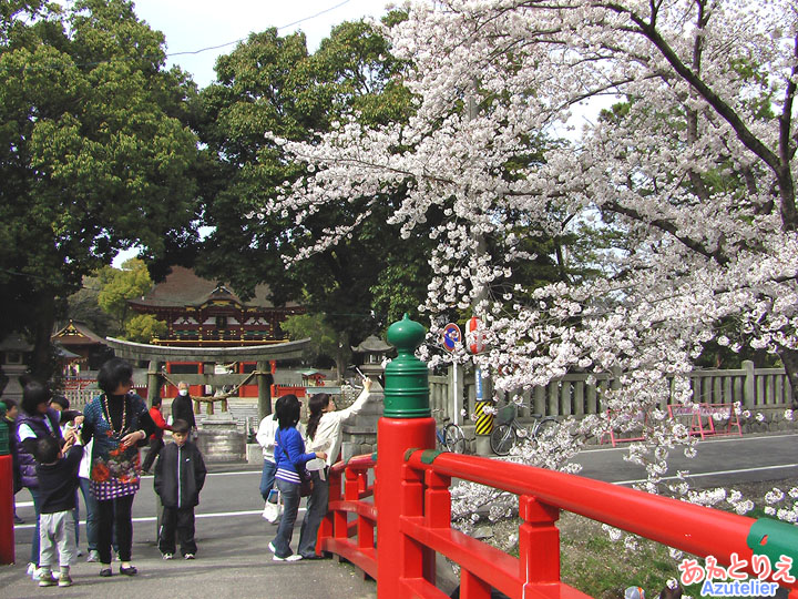 神橋の上