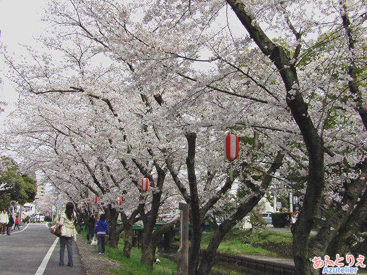 道路側からロケ地を見る(『純情きらり』ロケ地)