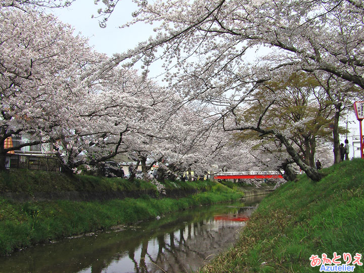 伊賀橋から上流