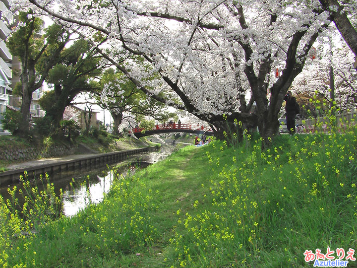 川の中(『純情きらり』ロケ地)