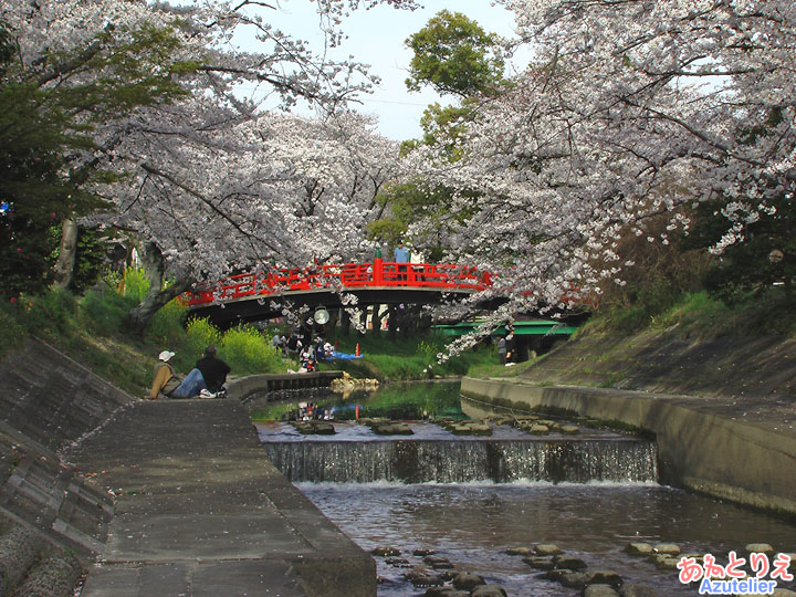 神橋と滝