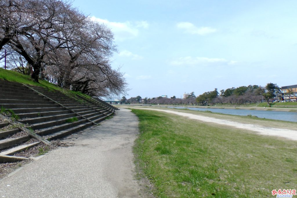 桜は咲いているけど屋台がありません...