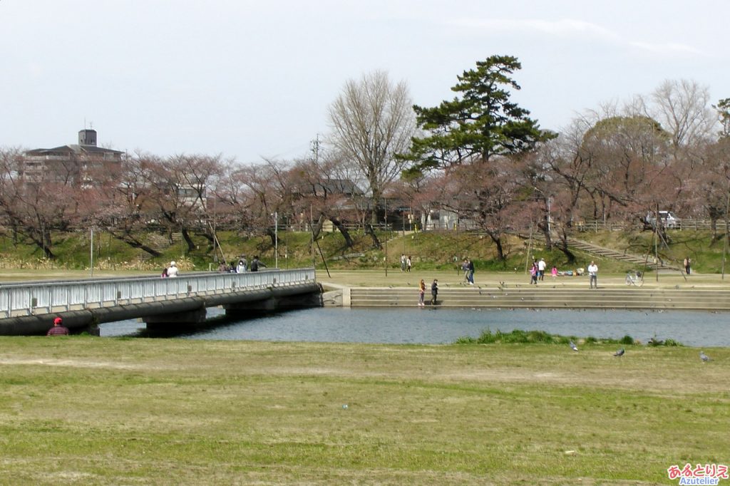 桜は咲いているけど屋台がありません...