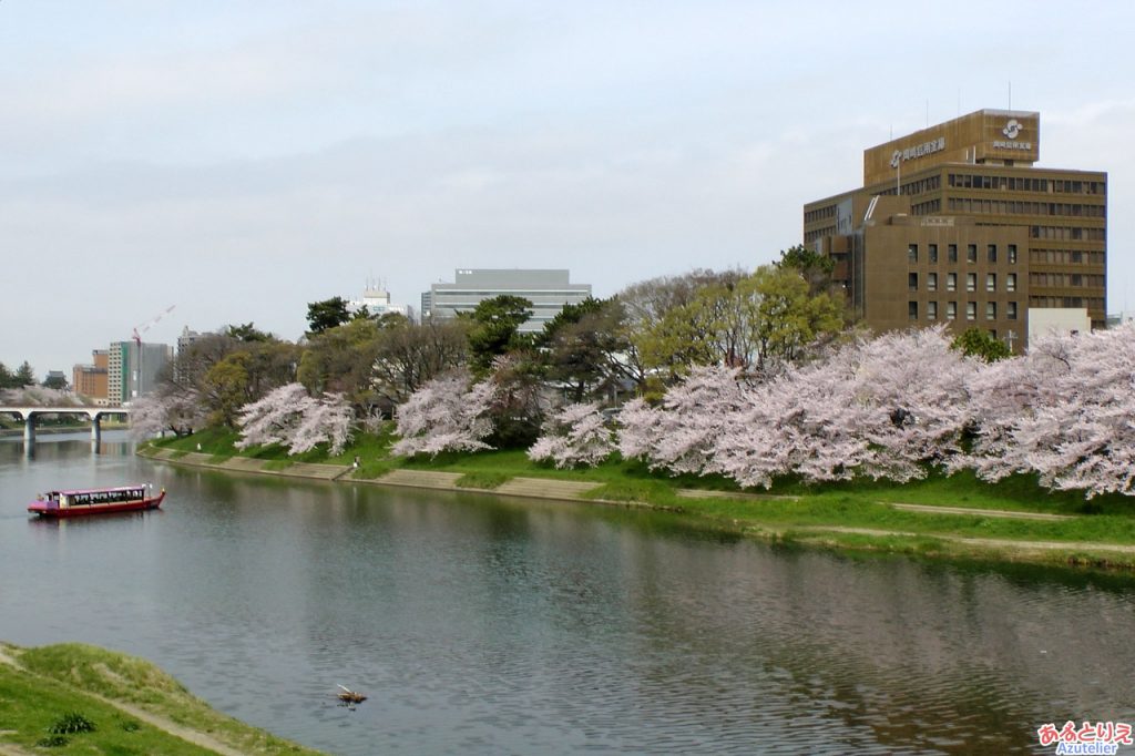 両岸に桜が咲き、素敵。