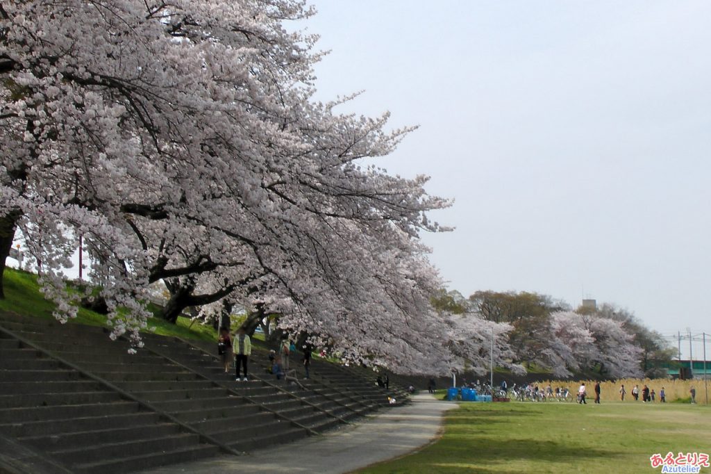 岡崎公園までやってきました