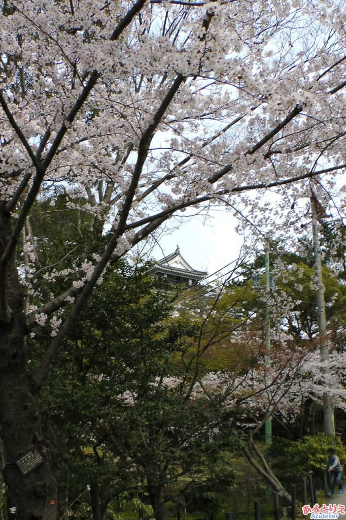 岡崎城(伊賀川から)