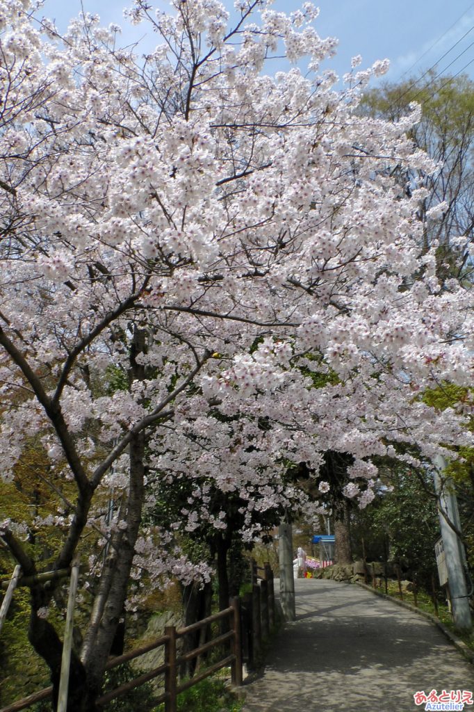 岡崎城へ続く坂