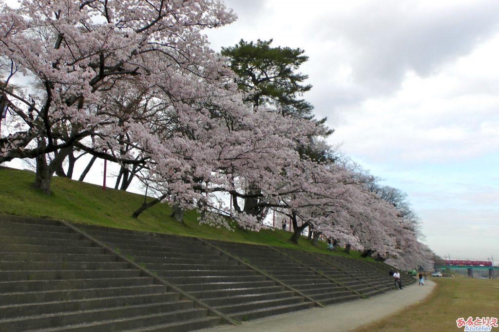 岡崎公園に到着