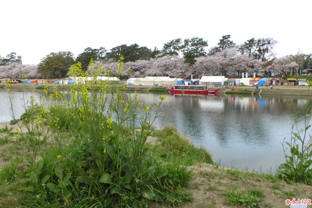 岡崎公園に到着