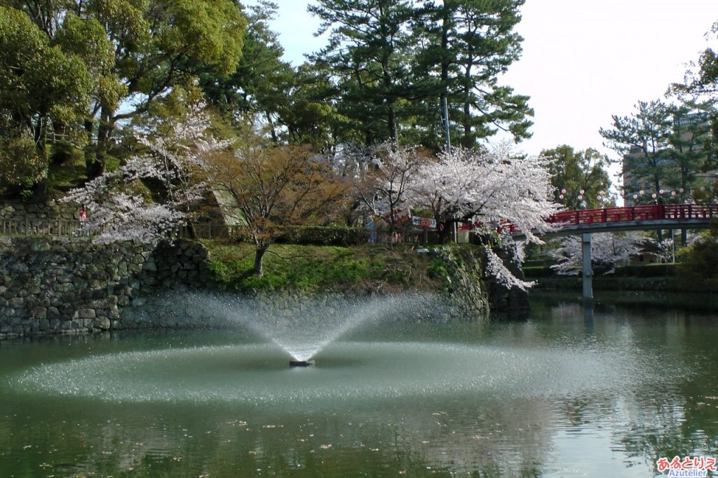 龍城掘(神橋と桜)