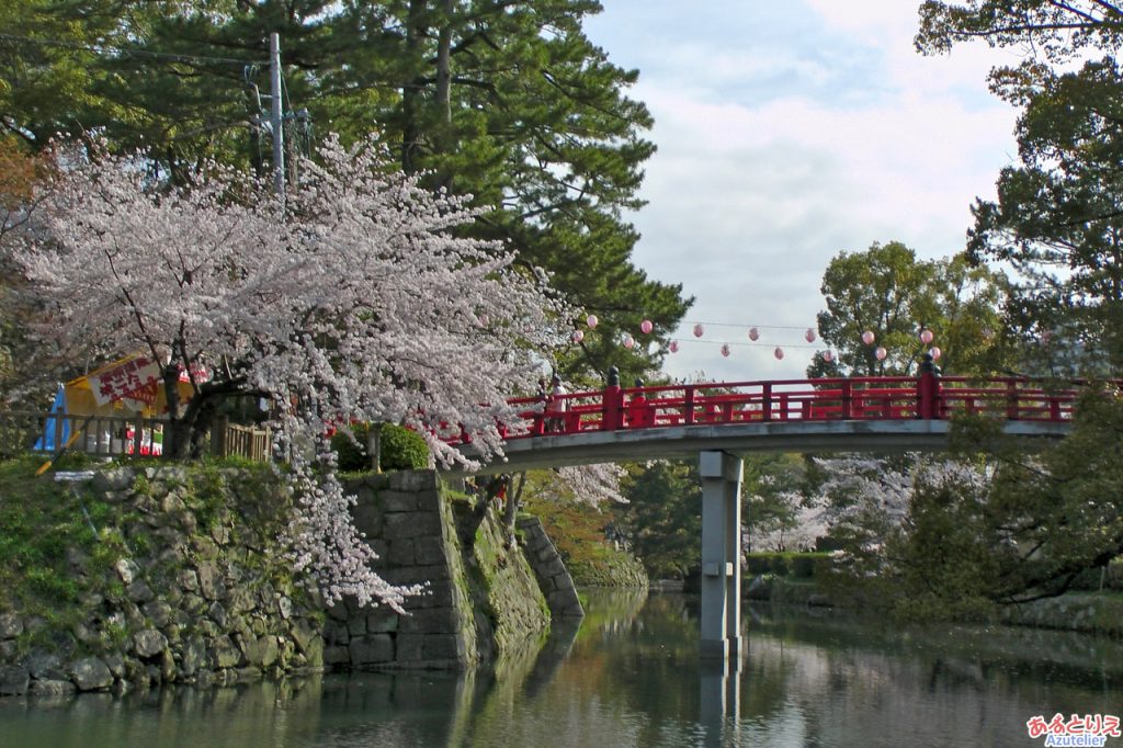 龍城掘(神橋と桜)