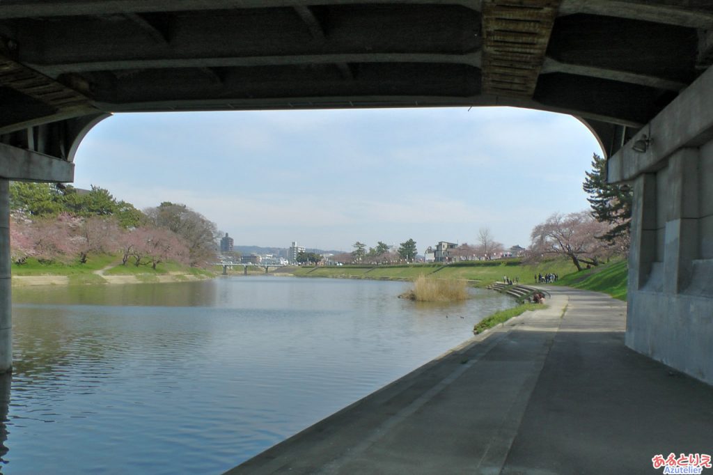 桜まつり始まりました♪