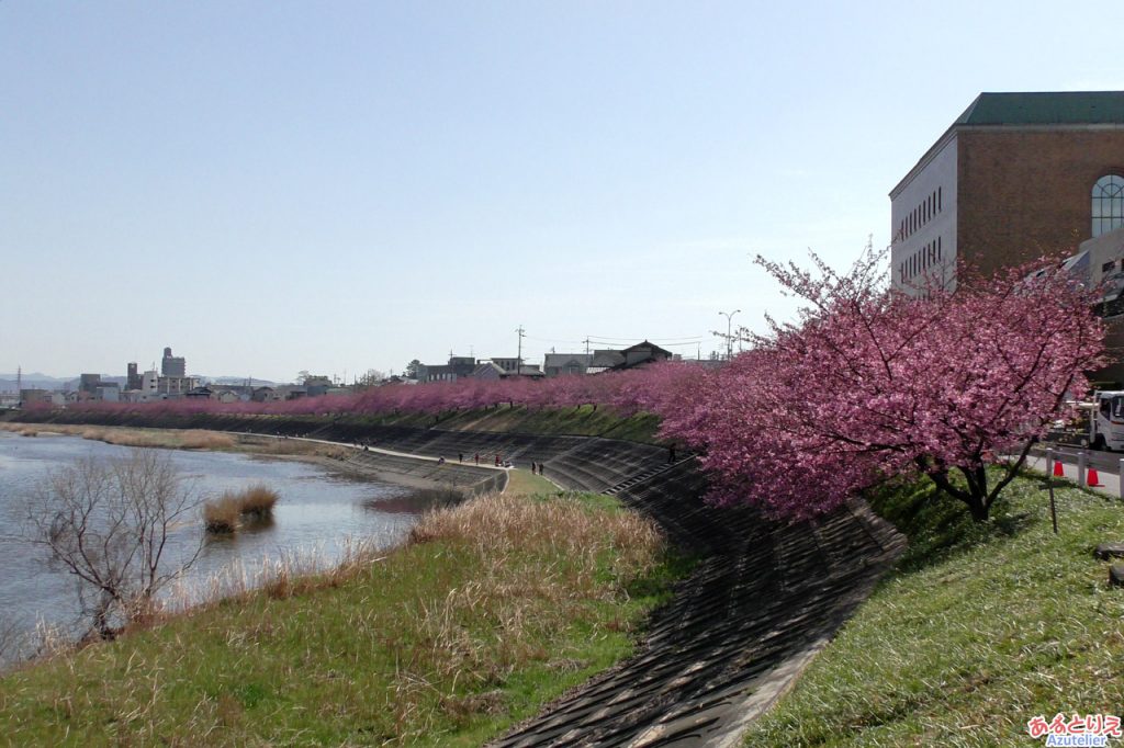 竜美丘会館側から望む