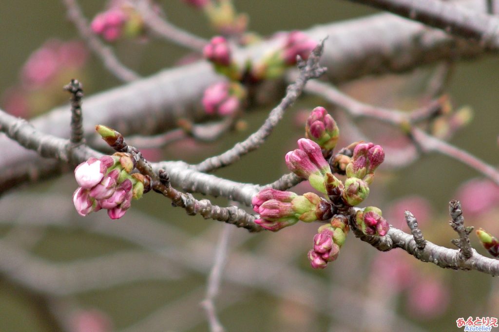 2019年3月20日