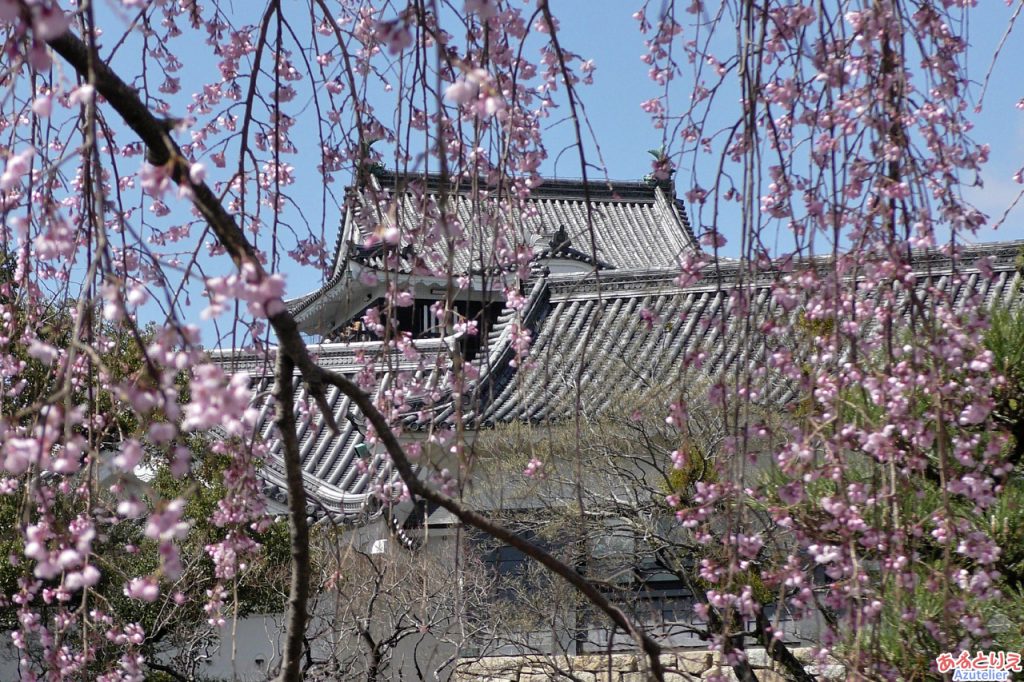 城南亭のしだれ桜