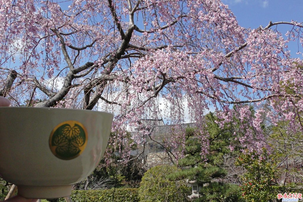 家康に乾杯！