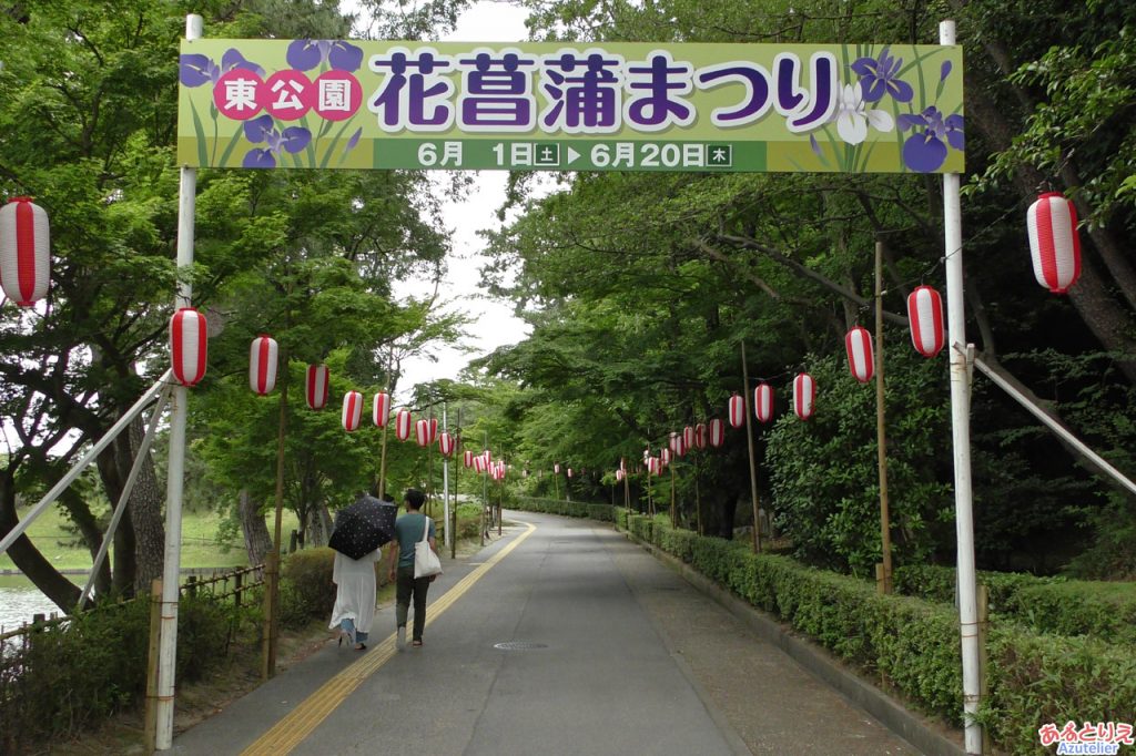 東公園花菖蒲まつり(2019年6月4日)